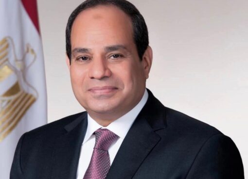 شكراً فخامة الرئيس السيسي.. حين يلامس القلم نبض الشارع.. هل يقرأ الرئيس تقاريرنا؟