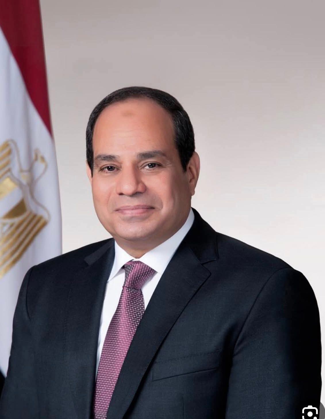 شكراً فخامة الرئيس السيسي.. حين يلامس القلم نبض الشارع.. هل يقرأ الرئيس تقاريرنا؟