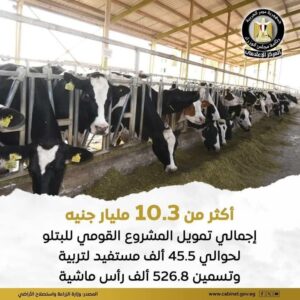 الزراعة : إجمالي ما تم تمويله للمشروع القومي للبتلو حتى الآن بلغ أكثر من 10 مليارات و 350 مليون جنيه لحوالي 45.535 ألف مستفيد