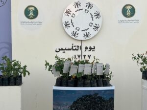 بيئات تحتفي بيوم التأسيس: مبادرات مجتمعية وشتلات زراعية تعزز الانتماء