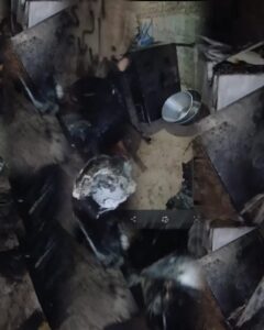 لهيب النيران يلتهم منازل اهالي الدويرات وسط استغاثات عاجلة لمحافظ سوهاج