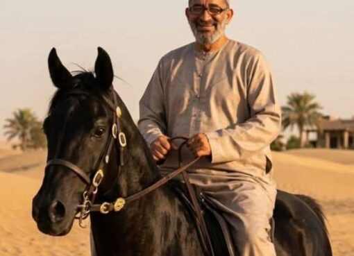 ولا كل من ركب الحصان خيال