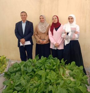 زراعة بني سويف تشهد حصاد وحدات "الهيدروبونيك" بدون تربة