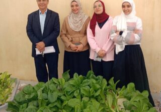 زراعة بني سويف تشهد حصاد وحدات "الهيدروبونيك" بدون تربة