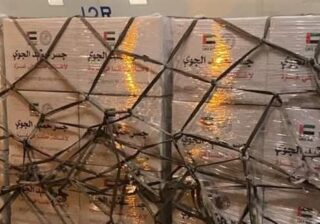 طائرة إماراتية محملة بـ 80 طن مساعدات تصل مطار العريش لدعم غزة