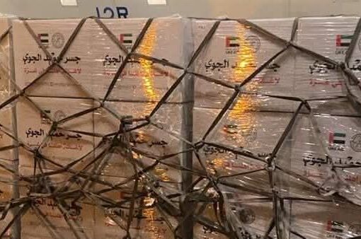 طائرة إماراتية محملة بـ 80 طن مساعدات تصل مطار العريش لدعم غزة