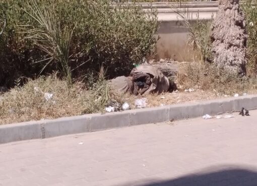 اشباة البشر يعثون فى الارض فسادا ..