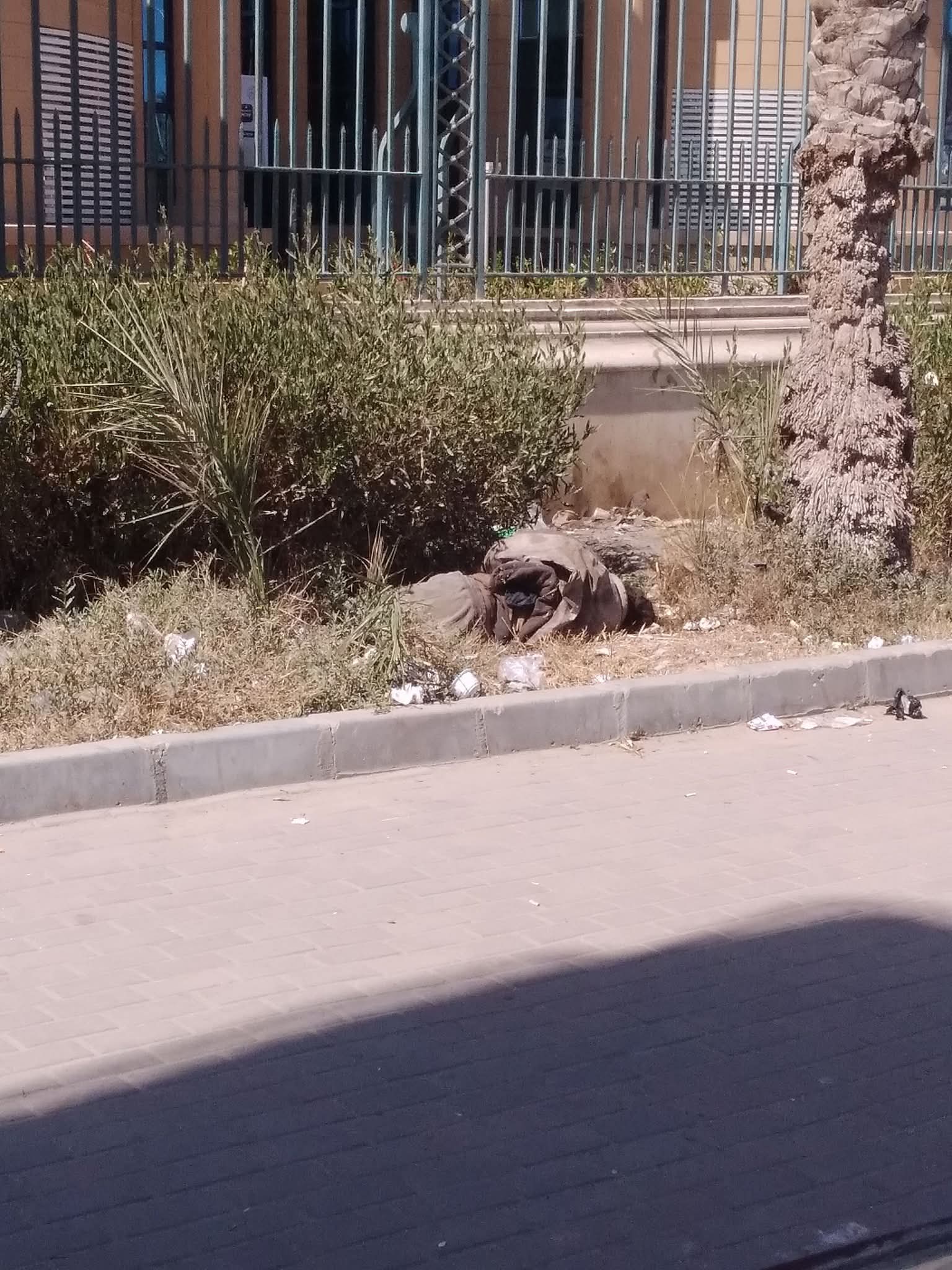 اشباة البشر يعثون فى الارض فسادا ..