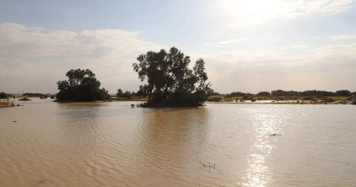 استقرار نسبي للأحوال الجوية في جنوب رفح بالعريش بعد السيول