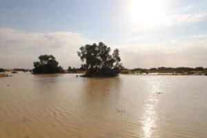 استقرار نسبي للأحوال الجوية في جنوب رفح بالعريش بعد السيول