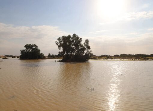 استقرار نسبي للأحوال الجوية في جنوب رفح بالعريش بعد السيول