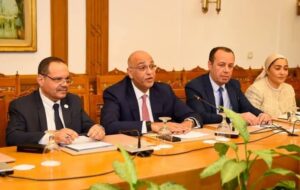 نائب وزير الخارجية للتعاون الدولي تجتمع مع الرئيس التنفيذي لجهاز تنمية المشروعات