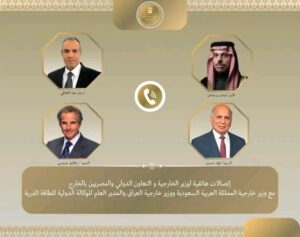 وزير الخارجية يبحث مع نظيريه السعودي والعراقي والمدير العام للوكالة الدولية للطاقة الذرية الأوضاع في المنطقة