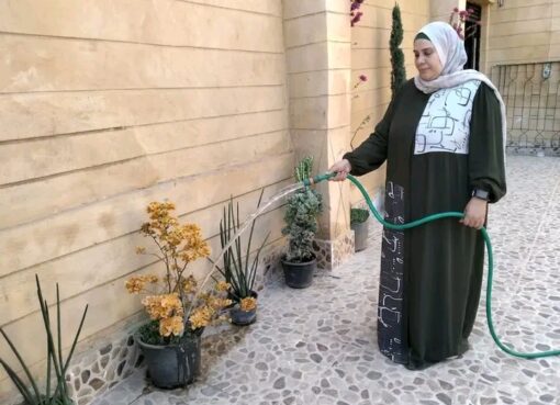 يد تزرع ويد تبني.. "هالة سيف" ترسم وجهاً حضارياً للوحدة المحلية بميت حلفا