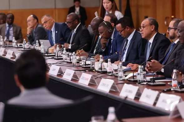 وزير الخارجية يشارك