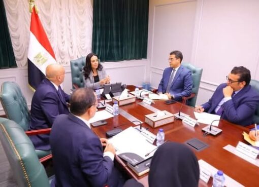 د. مايا مرسي تبحث