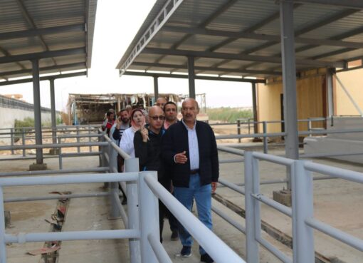 السويس تطور مجزرها الآلي: محافظ السويس يشدد على الالتزام بالمواعيد"