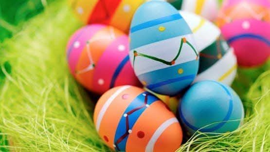 شم النسيم.. عيدٌ يعبر الزمن ولا يشيخ