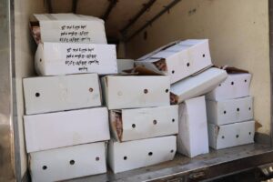 لحوم “صكوك الإطعام” تصل المنوفية.. دعمٌ جديد للأسر الأولى بالرعاية