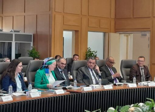 التضامن الاجتماعي تشارك في ورشة عمل وزارة المالية تحت عنوان «مخرجات ونتائج النموذج الوطني للموازنة التشاركية والمساءلة المجتمعية بمحافظة بني سويف»