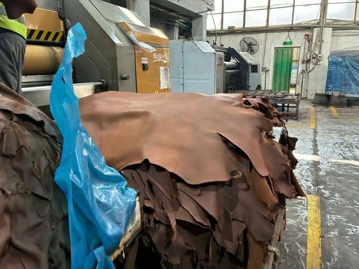 "الزراعة" تعلن إنتاج 3500 طن من منتجات التدوير و162 ألف جلد كمنتج ثانوي بالمجازر المعتمدة خلال مارس