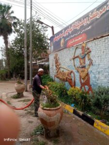 حملات مكثفة تعيد الانضباط للشارع المنوفية تواصل رفع كفاءة النظافة وتحسين المشهد الحضاري