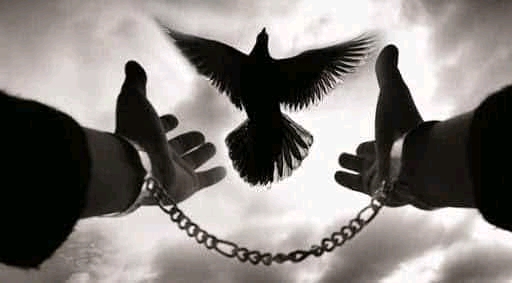 معني السلام