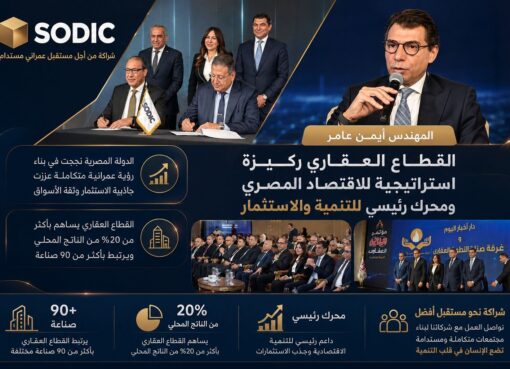 أيمن عامر: القطاع