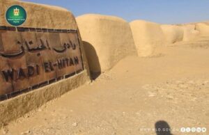 إنجاز بيئي عالمي جديد.. تجديد إدراج موقع "وادي الحيتان" بالقائمة الخضراء الدولية لمدة 5 سنوات جديدة