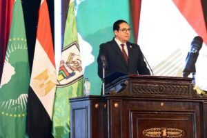 وزارتا الخارجية والتعليم العالي تنظمان احتفالية “يوم إفريقيا” بمقر جامعة القاهرة