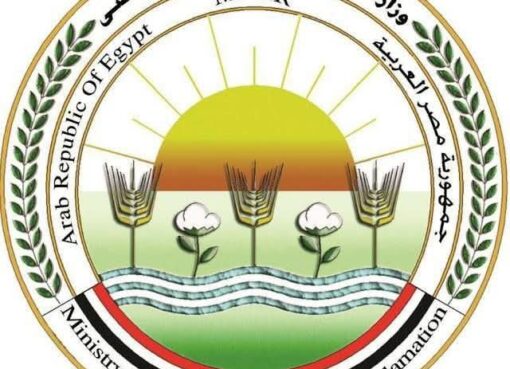 بيان صادر عن وزارة الزراعة واستصلاح الأراضي: