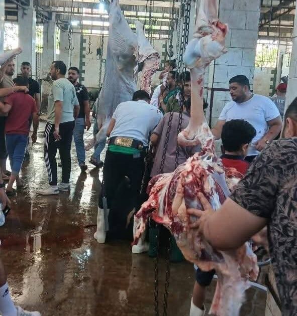 ذبح 4300 أضحية داخل المجازر الحكومية مجانا خلال الأيام الثلاثة الأولى لعيد الأضحى بالجيزة