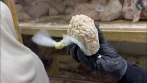 محافظ السويس يشن حملة مسائية مفاجئة.. وضبط لحوم فاسدة وسلع منتهية الصلاحية بالأسواق والمطاعم
