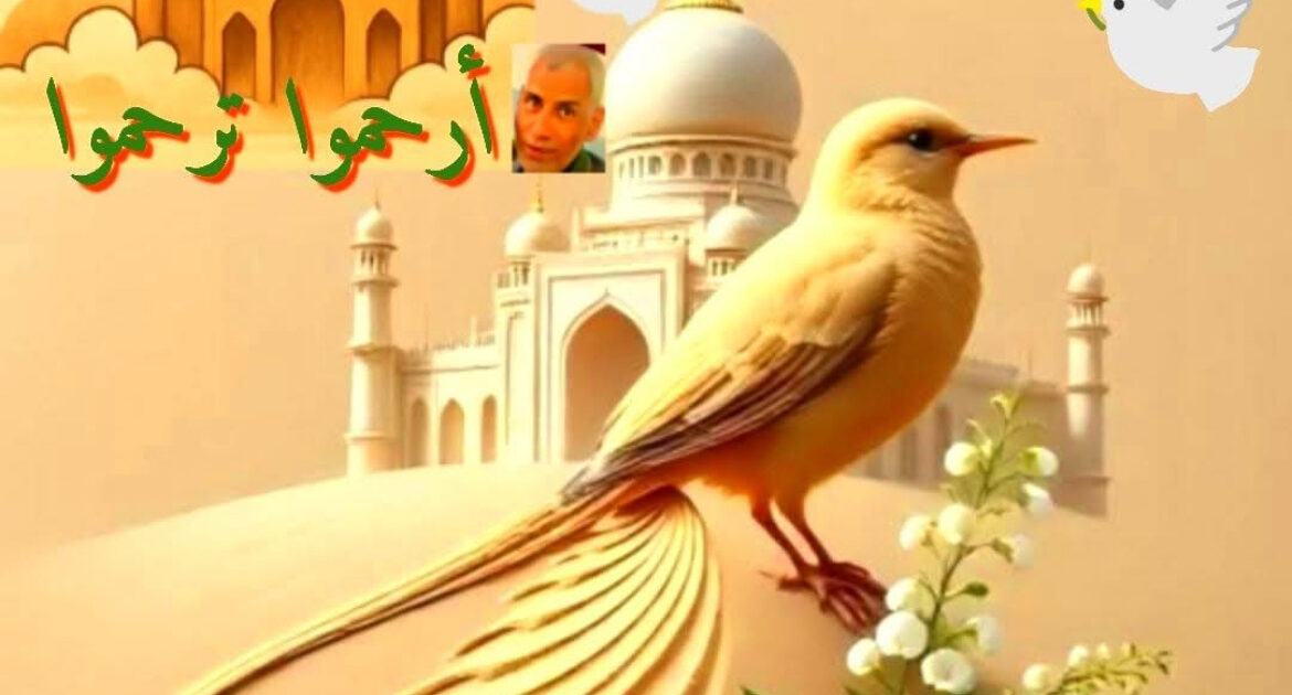 التراحم سمات المخبتين إطلالة ل عبادي عبدالباقي