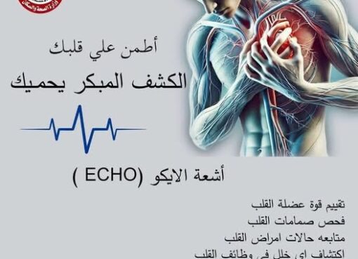 تفعيل خدمة الإيكو