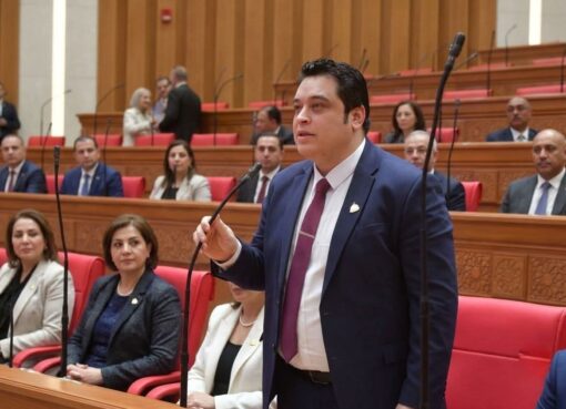 نائب بكفرالشيخ يقدم طلب إحاطة عاجل لحظر تداول "حبة الغلة" في مصر