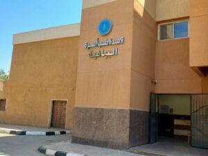 هيئة الرعاية الصحية تواصل التوسع في خدمات التأمين الصحي الشامل بالأقصر