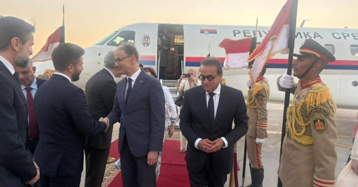 وزير الصحة والسكان يستقبل رئيس وزراء صربيا بمطار القاهرة الدولي