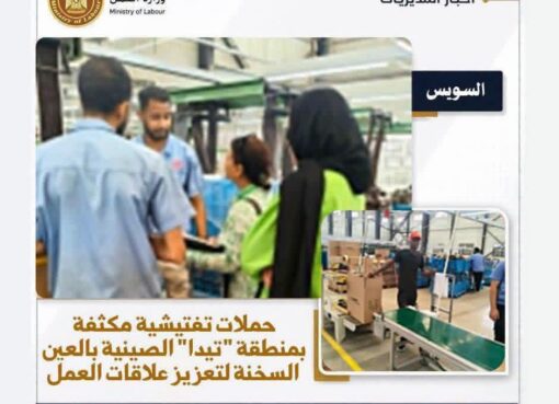 حملات تفتيشية بمنطقة "تيدا" الصينية بالعين السخنة لتعزيز علاقات العمل