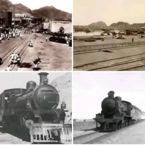 محازي عدنية