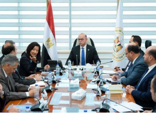 استثمارات خضراء وزير الاستثمار يلتقي بعثة الأمم المتحدة الإنمائي لبحث آليات التمويل المستدام والطاقة المتجددة القاهرة كتب سمير أحمد القط