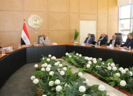 وزير الكهرباء يبحث مع اللجنة الاستشارية آليات التوسع في الطاقة المتجددة