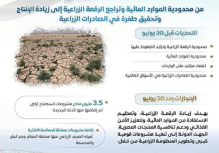 مجلس الوزراء يستعرض طفرة قطاع الزراعة بعد ثورة 30 يونيو