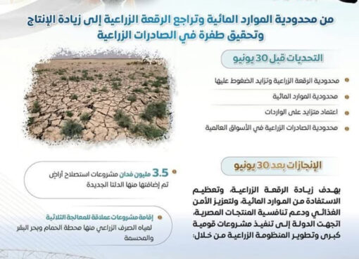 مجلس الوزراء يستعرض طفرة قطاع الزراعة بعد ثورة 30 يونيو