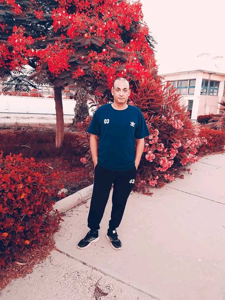 قالولي