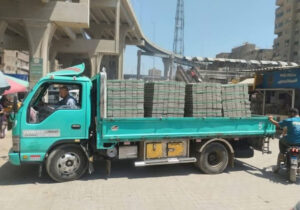 محافظ الجيزة يتابع أعمال رفع كفاءة كوبري مشاة همفرس ببولاق الدكرور
