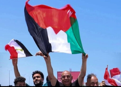 هيئة البث الاسـرائيلية تبرز رفع حسام حسن علم فلسـطين فى العلمين الجدبدة