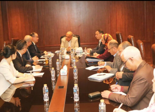 بحث التعاون الفنى بين وزير الكهرباء والطاقة المتجددة ومجموعة الصين الجنوبية "CSGI" لتطوير وتحديث الشبكة بحلول مبتكرة