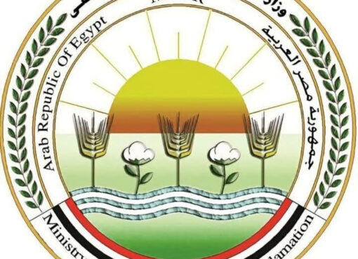 الزراعة تعلن إطلاق الخطة الوطنية الموحدة لإدارة ملف "حيوانات الشارع" والتصدي للشائعات