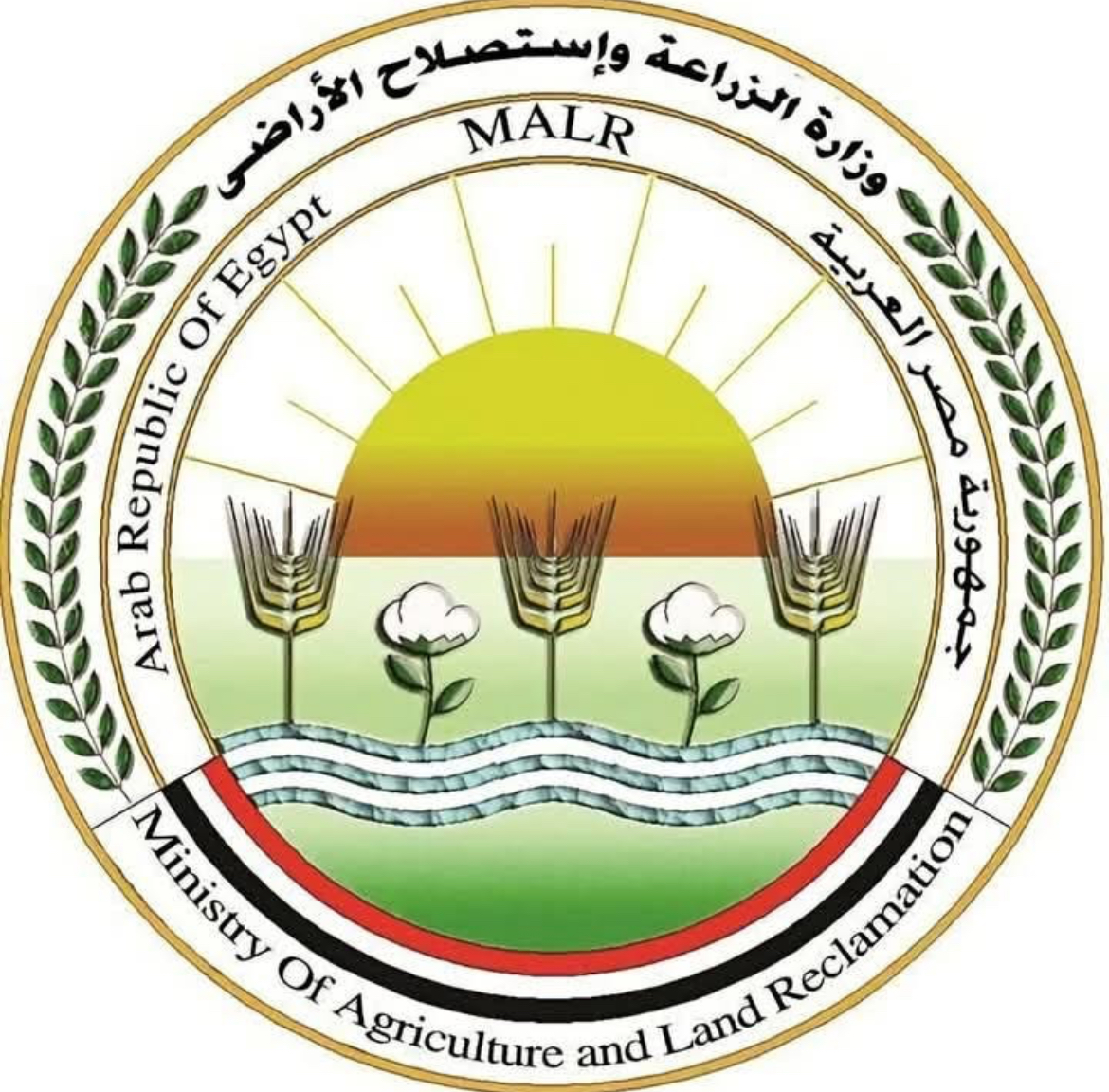 الزراعة تعلن إطلاق الخطة الوطنية الموحدة لإدارة ملف "حيوانات الشارع" والتصدي للشائعات
